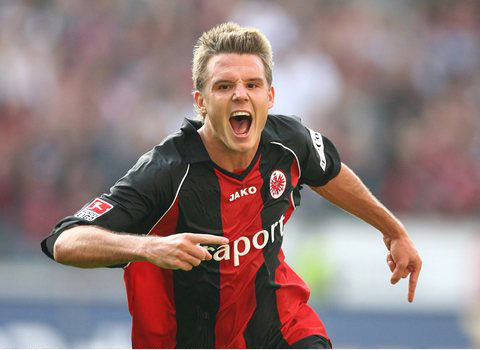 系统的培养 系统的培养